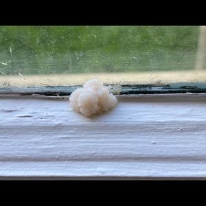 Meet your Posher, Sierra